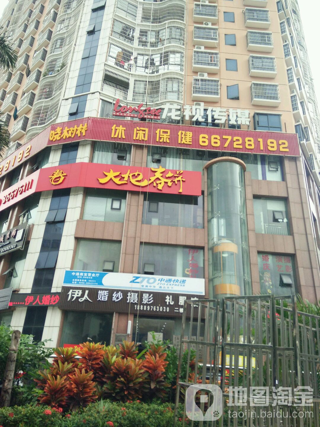 晓树林
