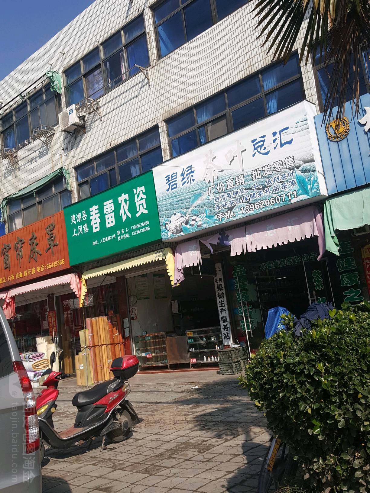 碧绿茶叶总汇
