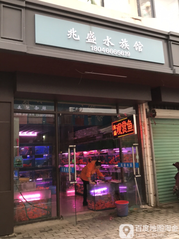 兆浅族馆
