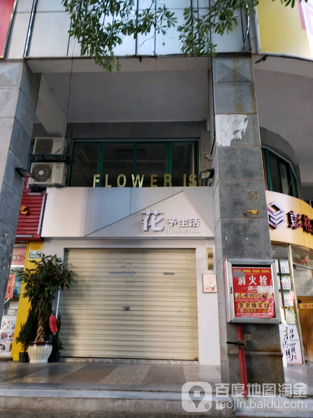 FlowerIs花予花点