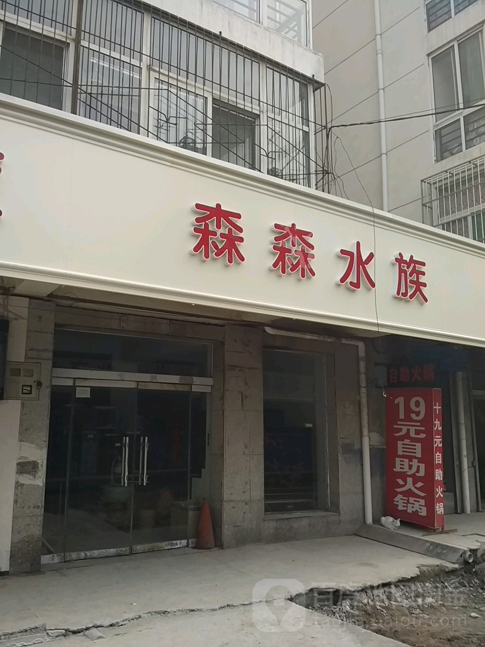 森森鱼缸观赏鱼鱼具(东北街店)
