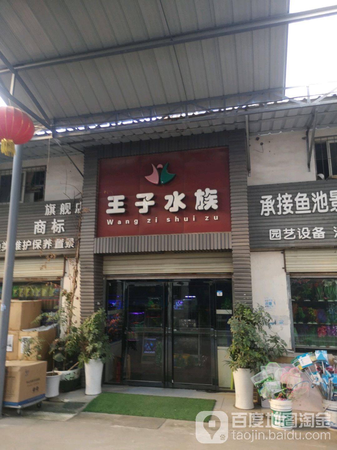 王子水族