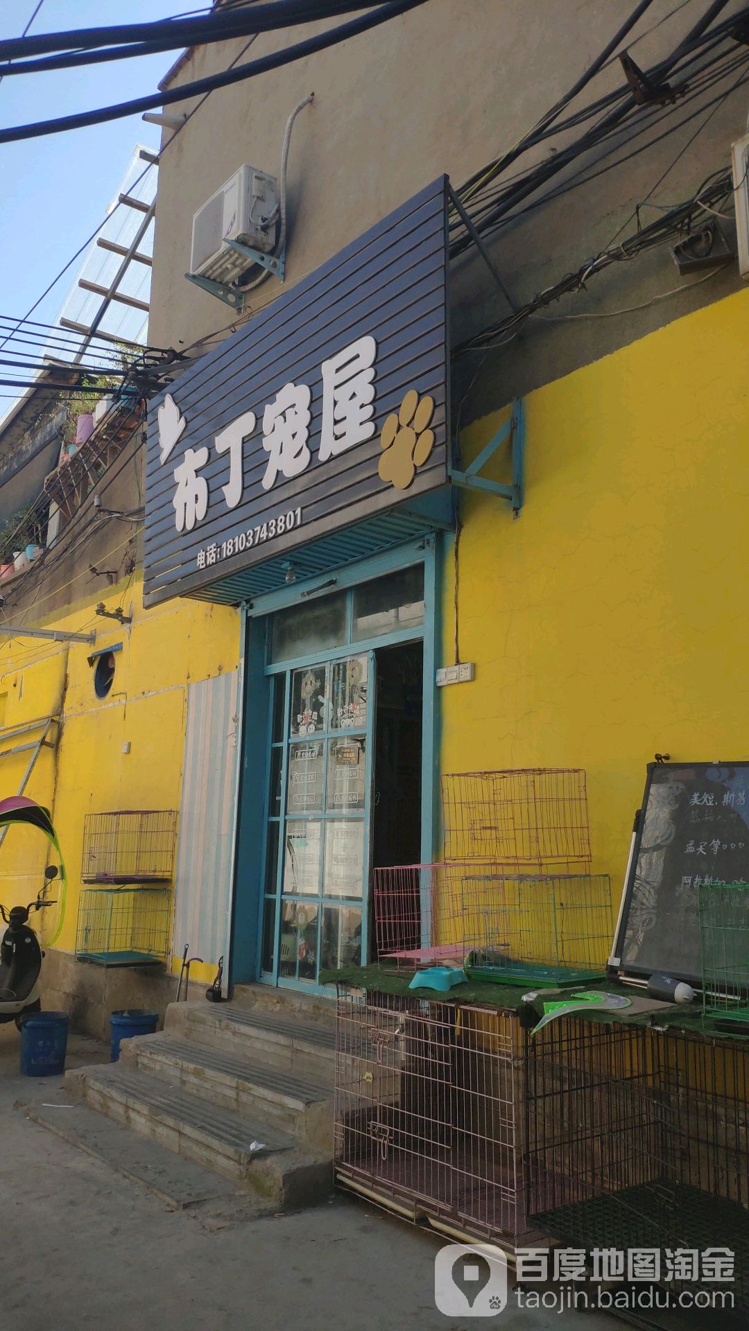 布丁宠物店