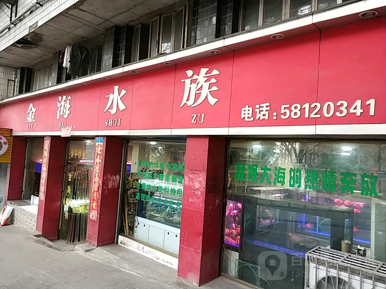 金海水族(果园路店)