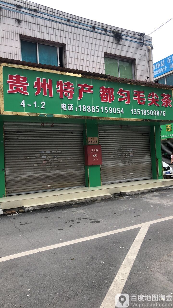 贵阳特产都匀毛尖茶