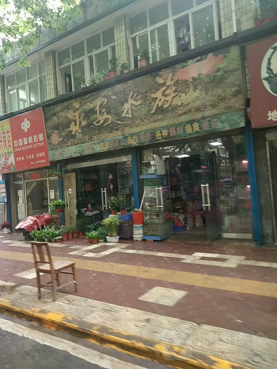 永安水族(西安市公路研究院家属院店)