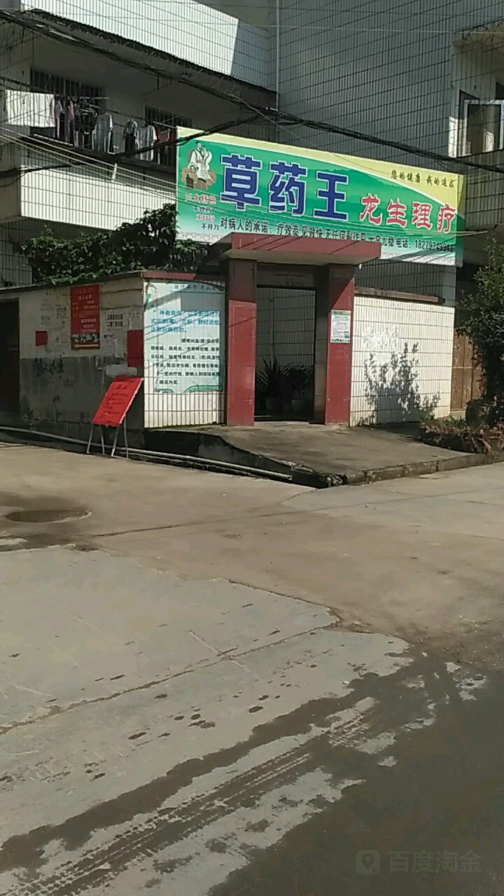 草药王龙生理疗