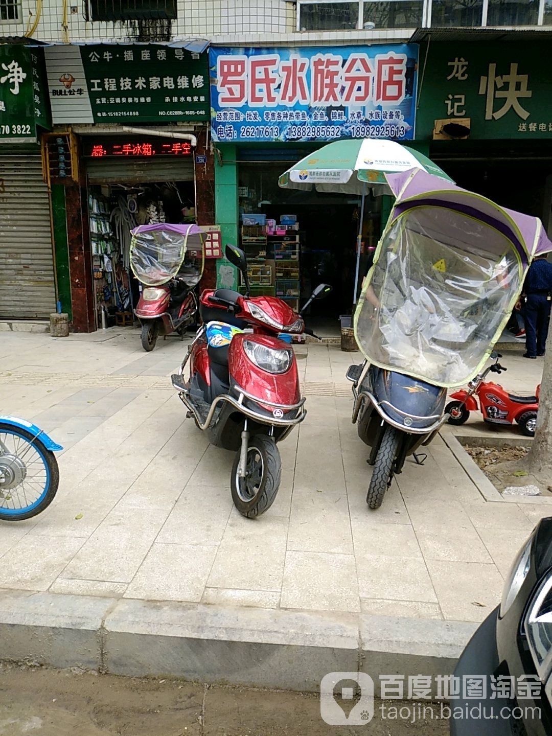 罗氏水族(分店)