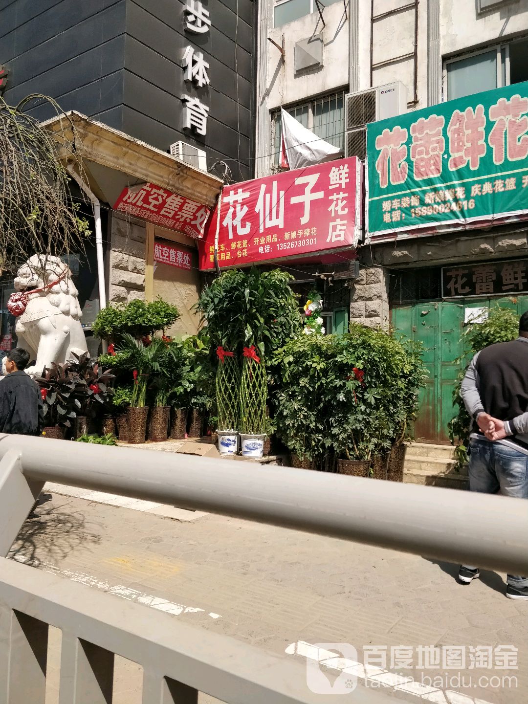 中牟县花仙子鲜花店(青年西路店)