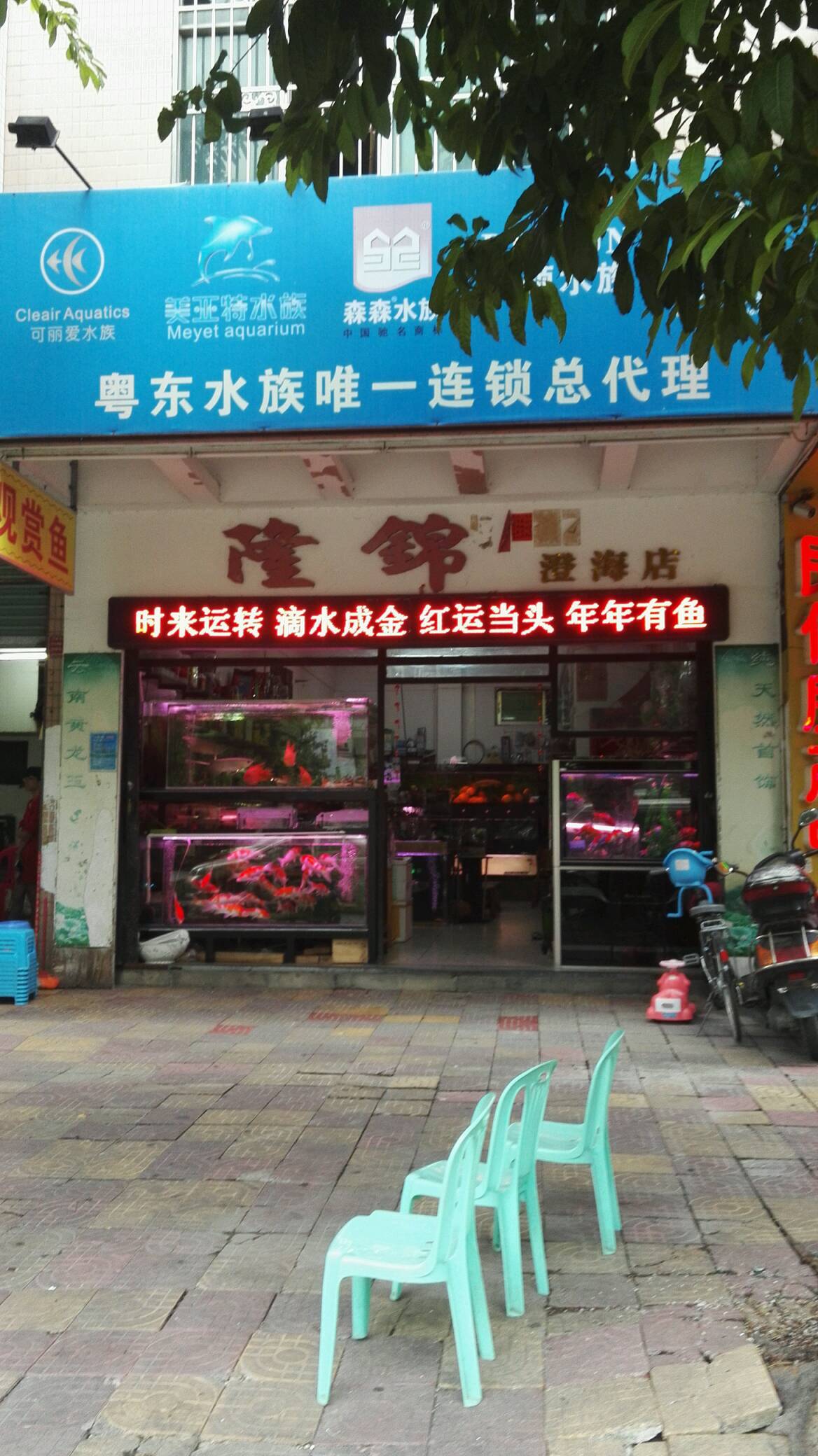 隆锦水族(澄海店)