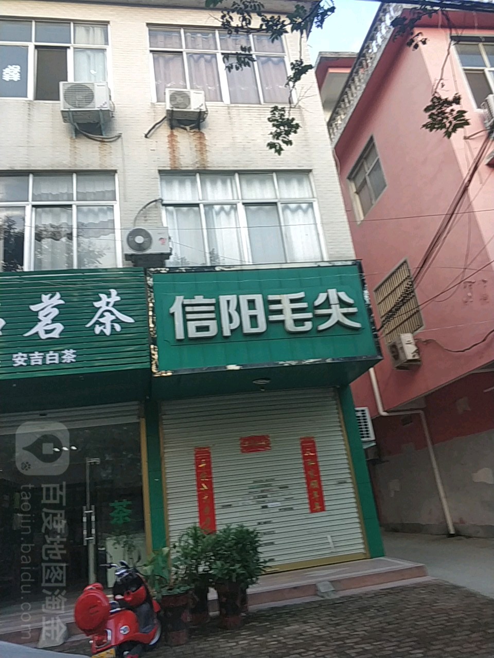 信阳毛尖(中原路店)