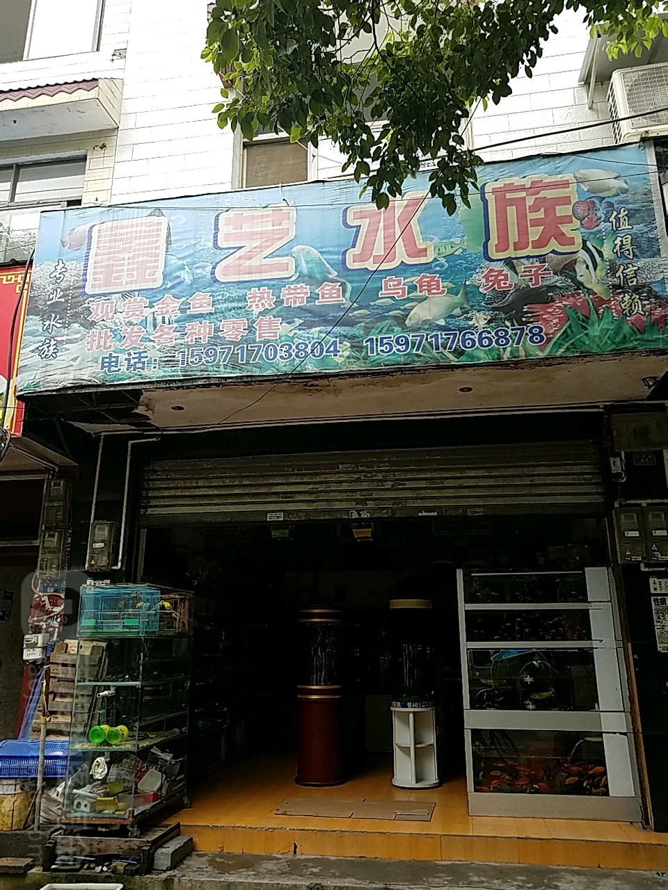 鑫艺水族
