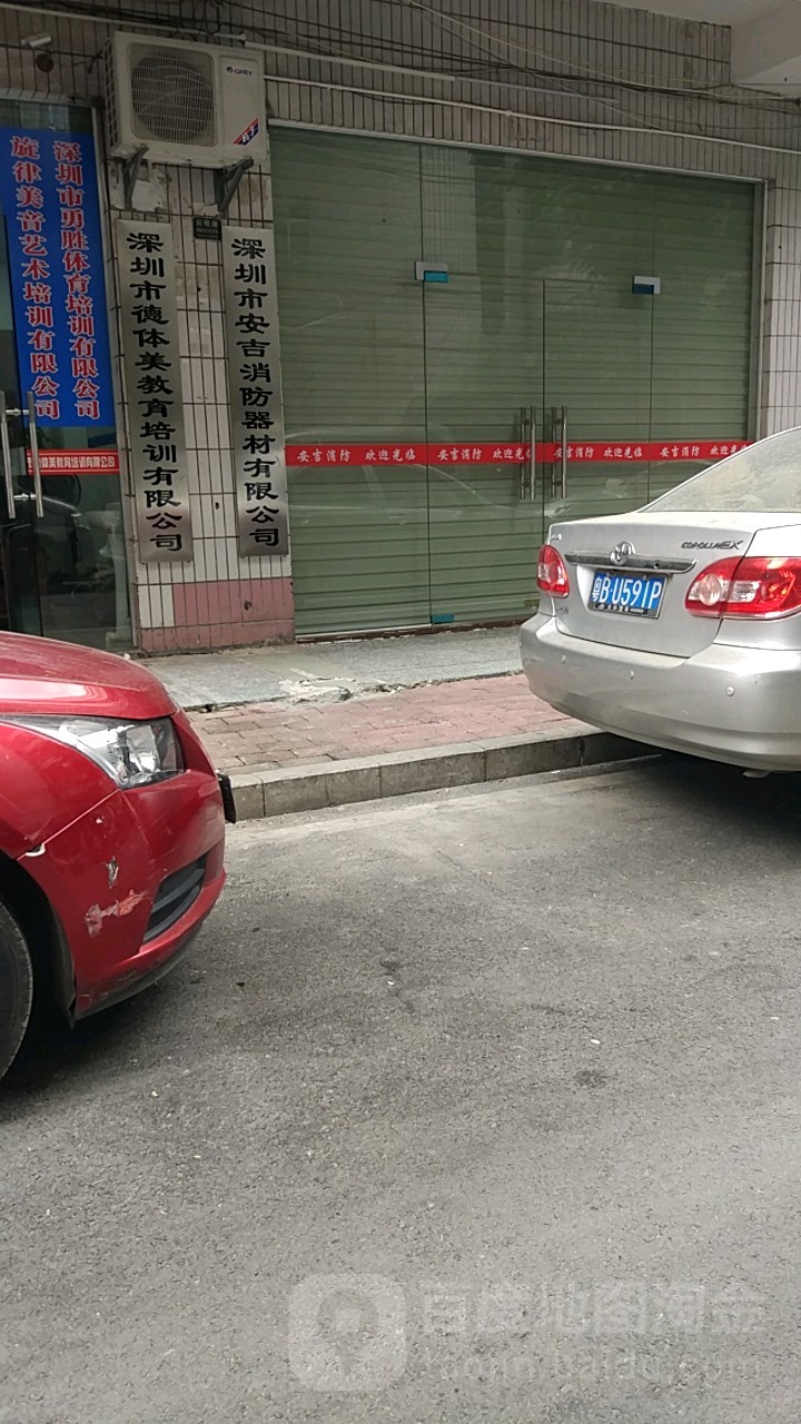 深圳市德体美教育培训有限公司
