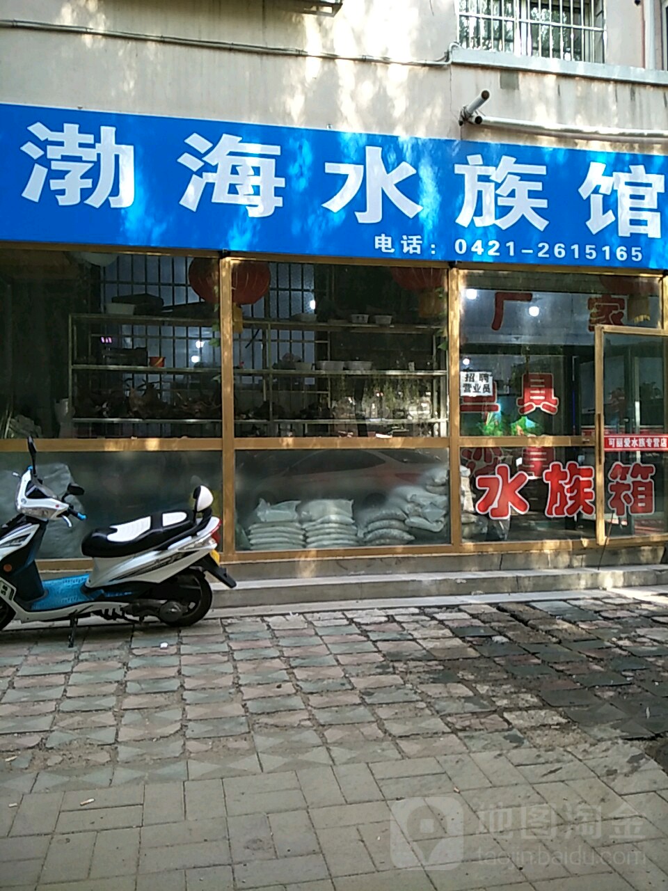 渤海水族(和平家园店)