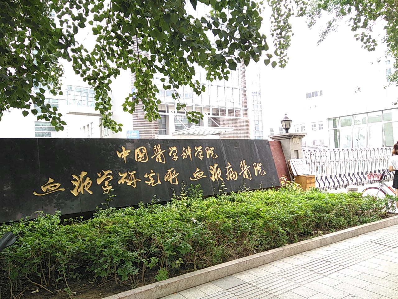 中国医学科学院血液病医院