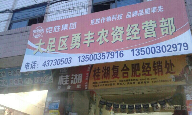 大足区勇丰农业技术服务有限公司