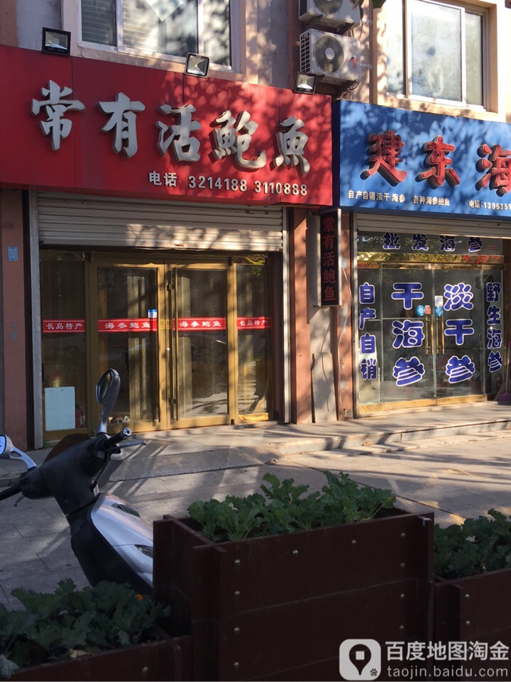 常有活鲍鱼