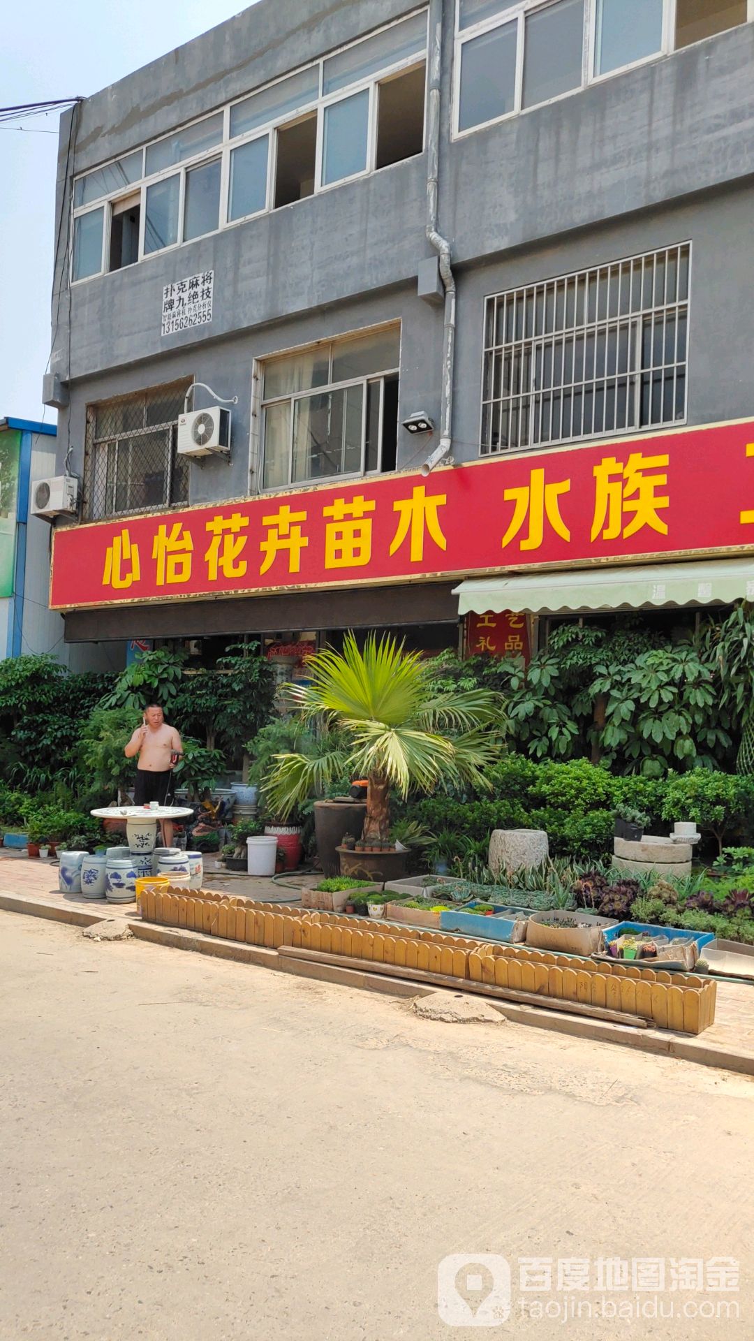 心怡花卉苗木