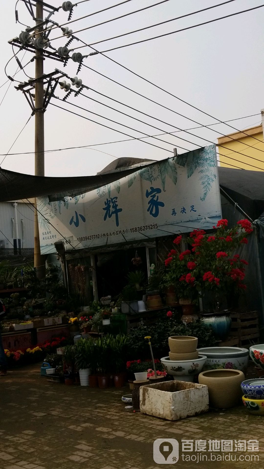 小辉家绿植店