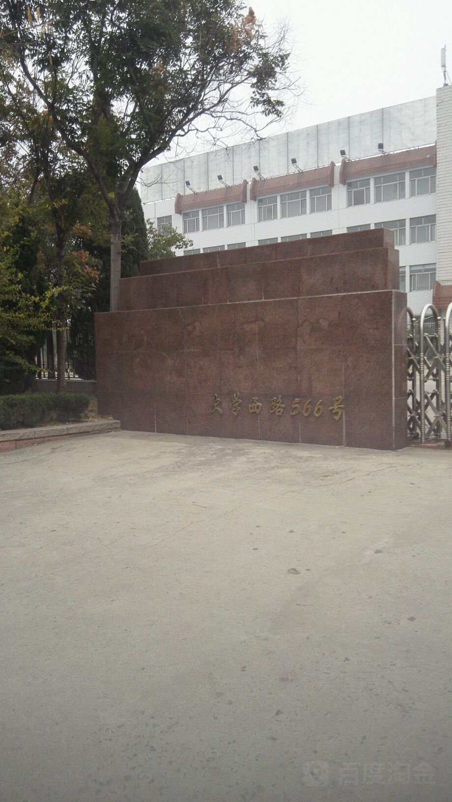 大学西路556号