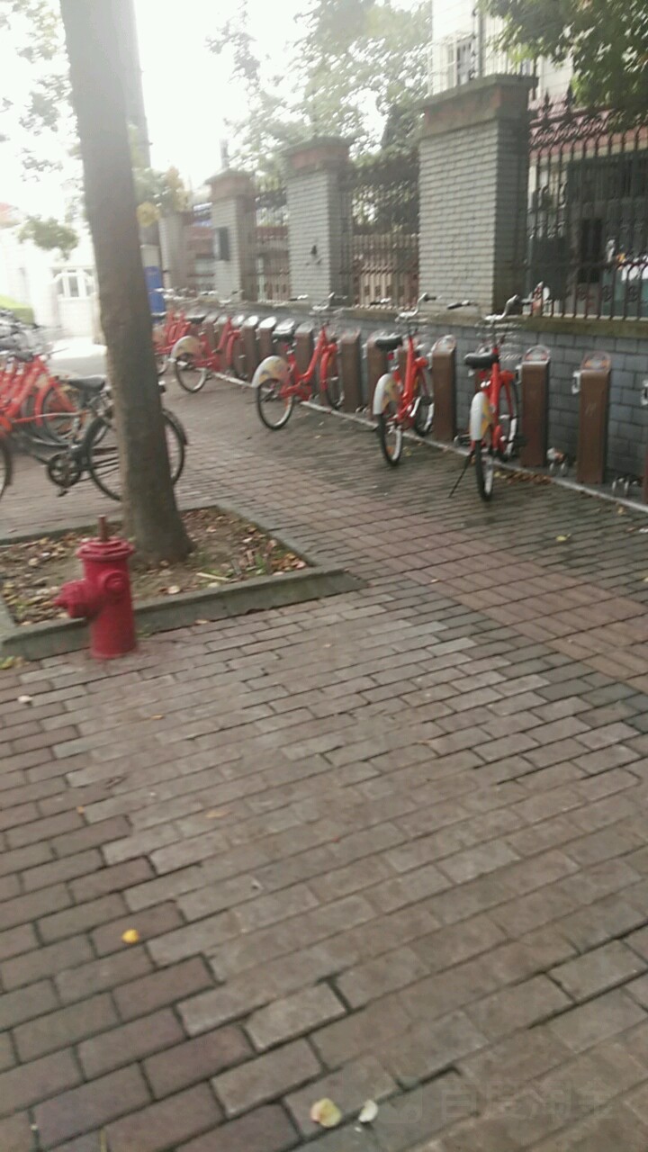 上海市宝山区人民法院-自行车租赁点