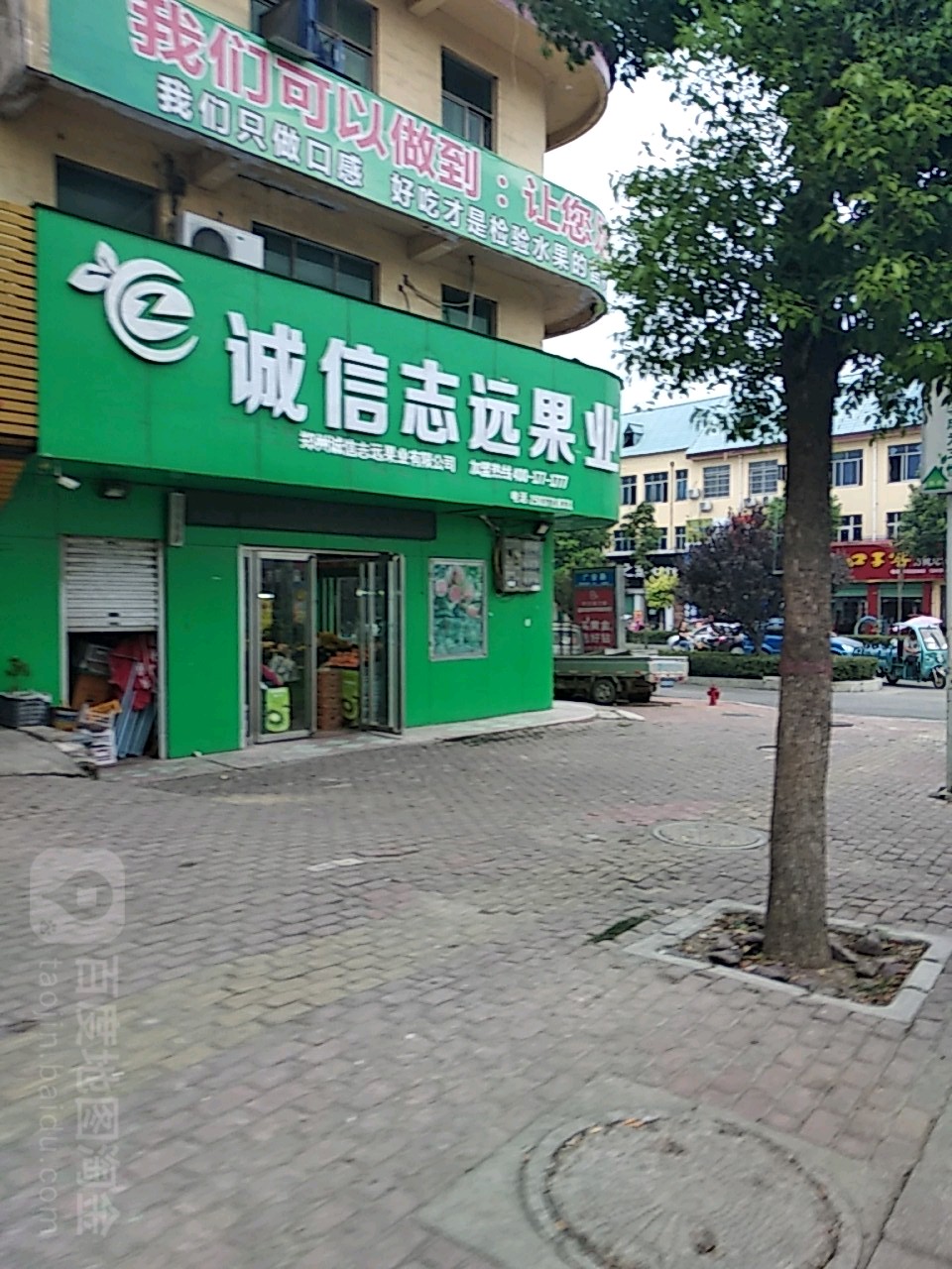 方城县诚信志远果业(广安路店)