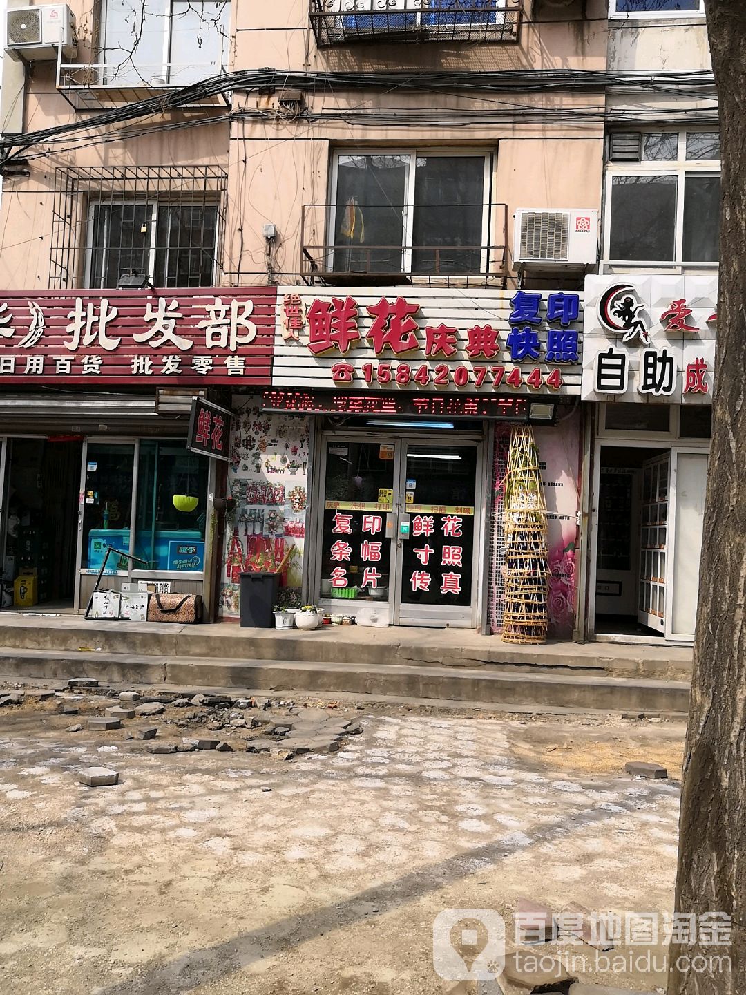 绝世佳人鲜花