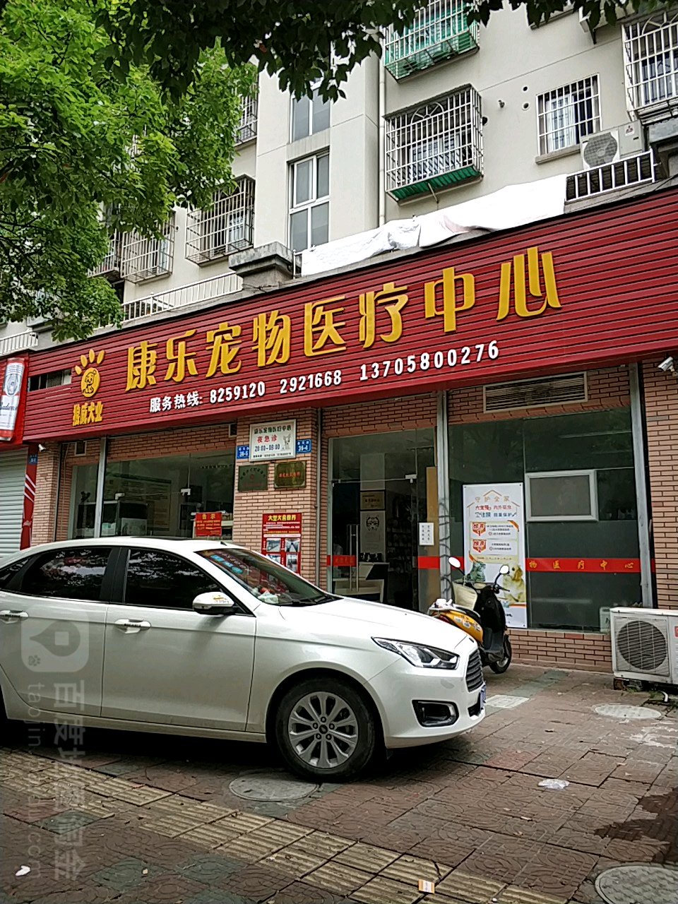 康乐宠物医疗中学(横河路店)