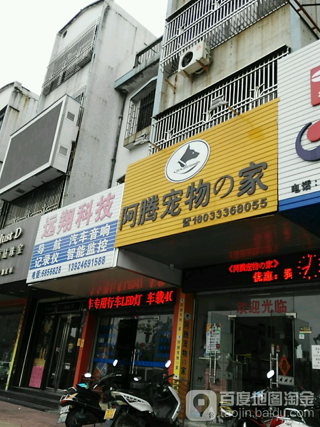 海丰县城阿腾宠物店