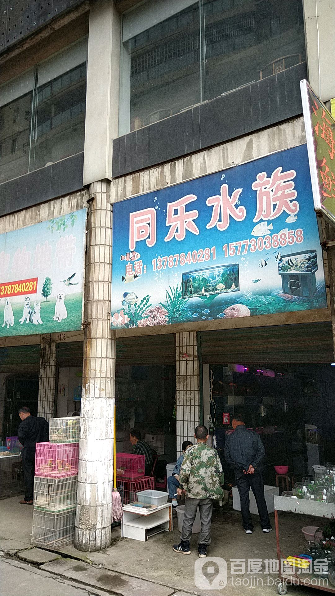 同乐水族