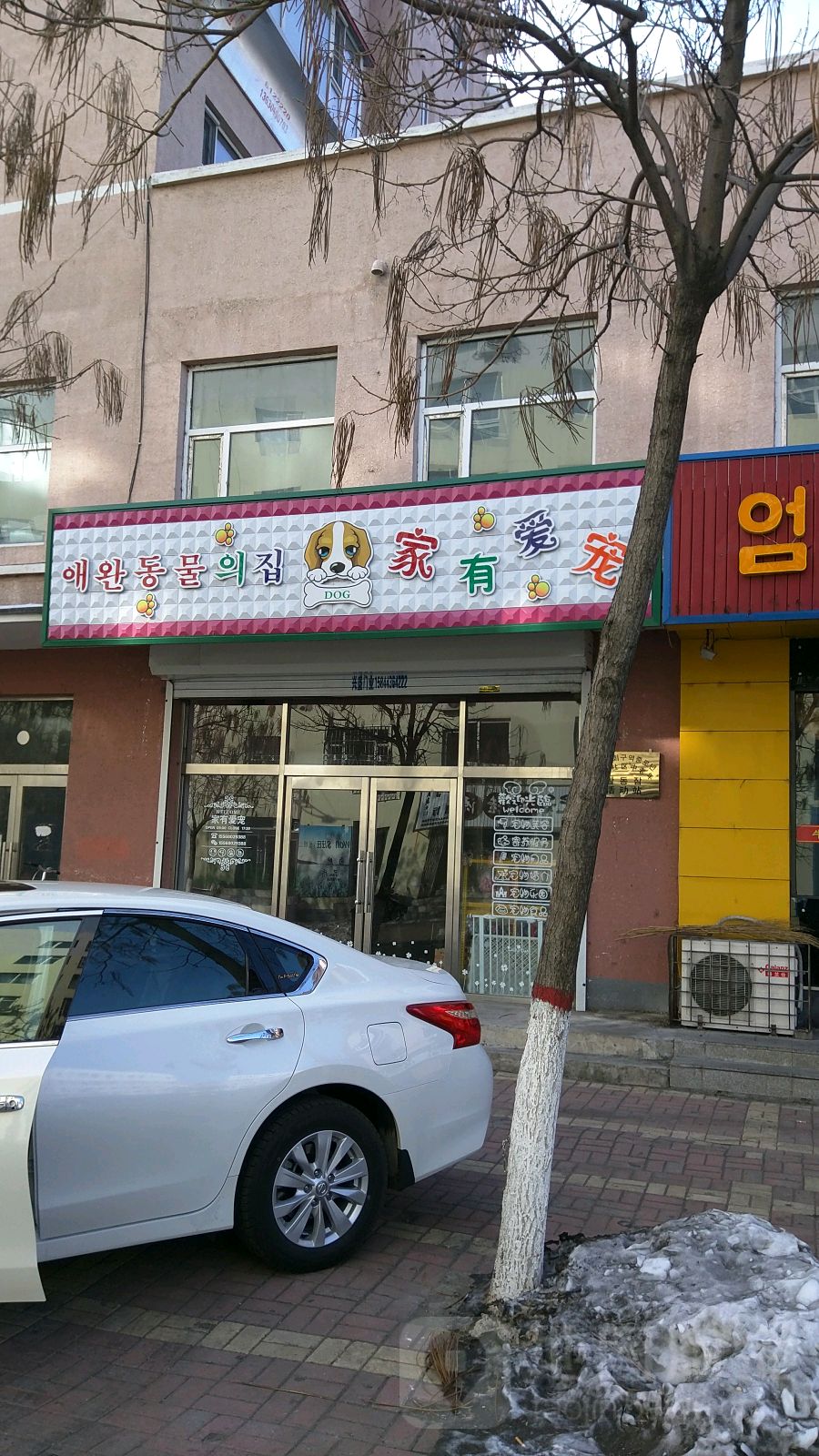 家有爱宠(建设街店)