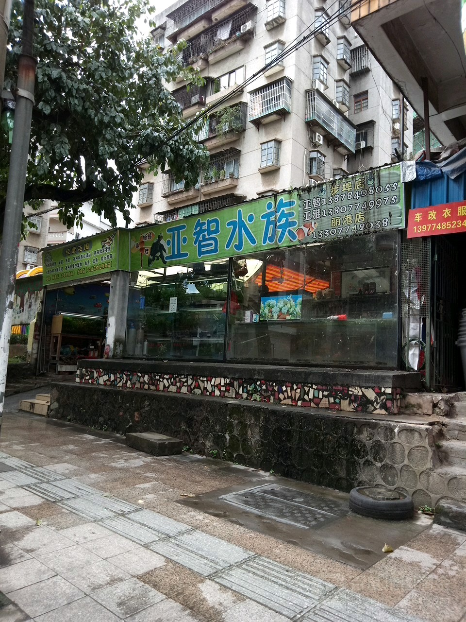 亚智水族(步埠店)