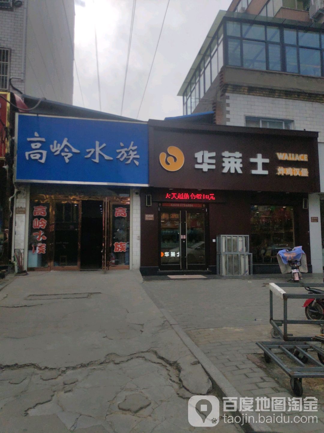 高领水族(铁东路店)