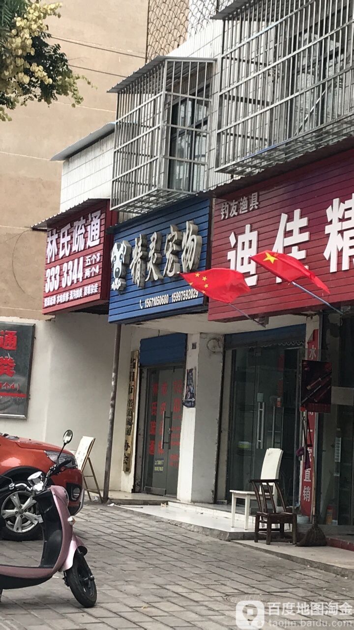 精灵宠物
