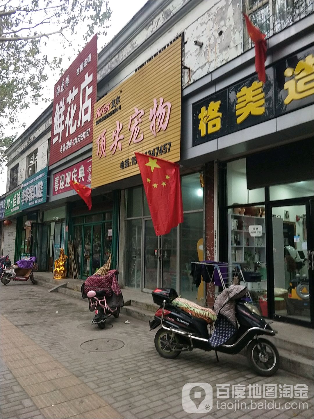 顶尖宠物