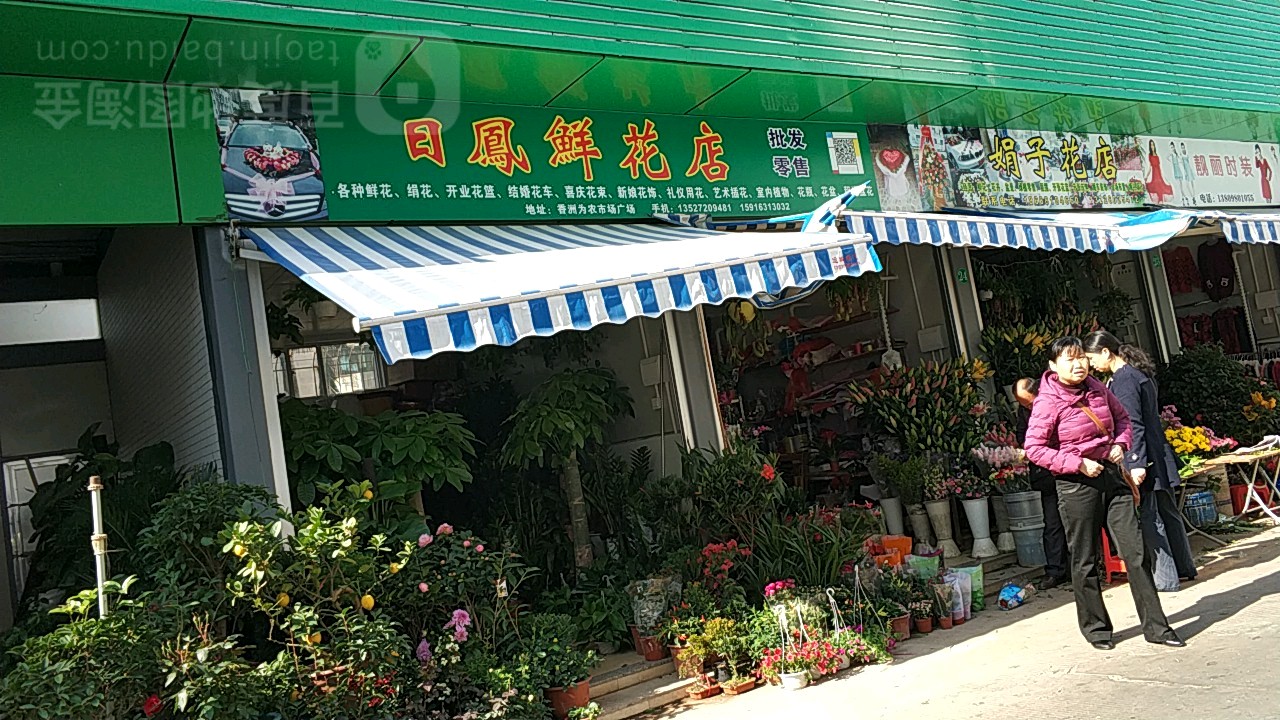 日凤鲜花店