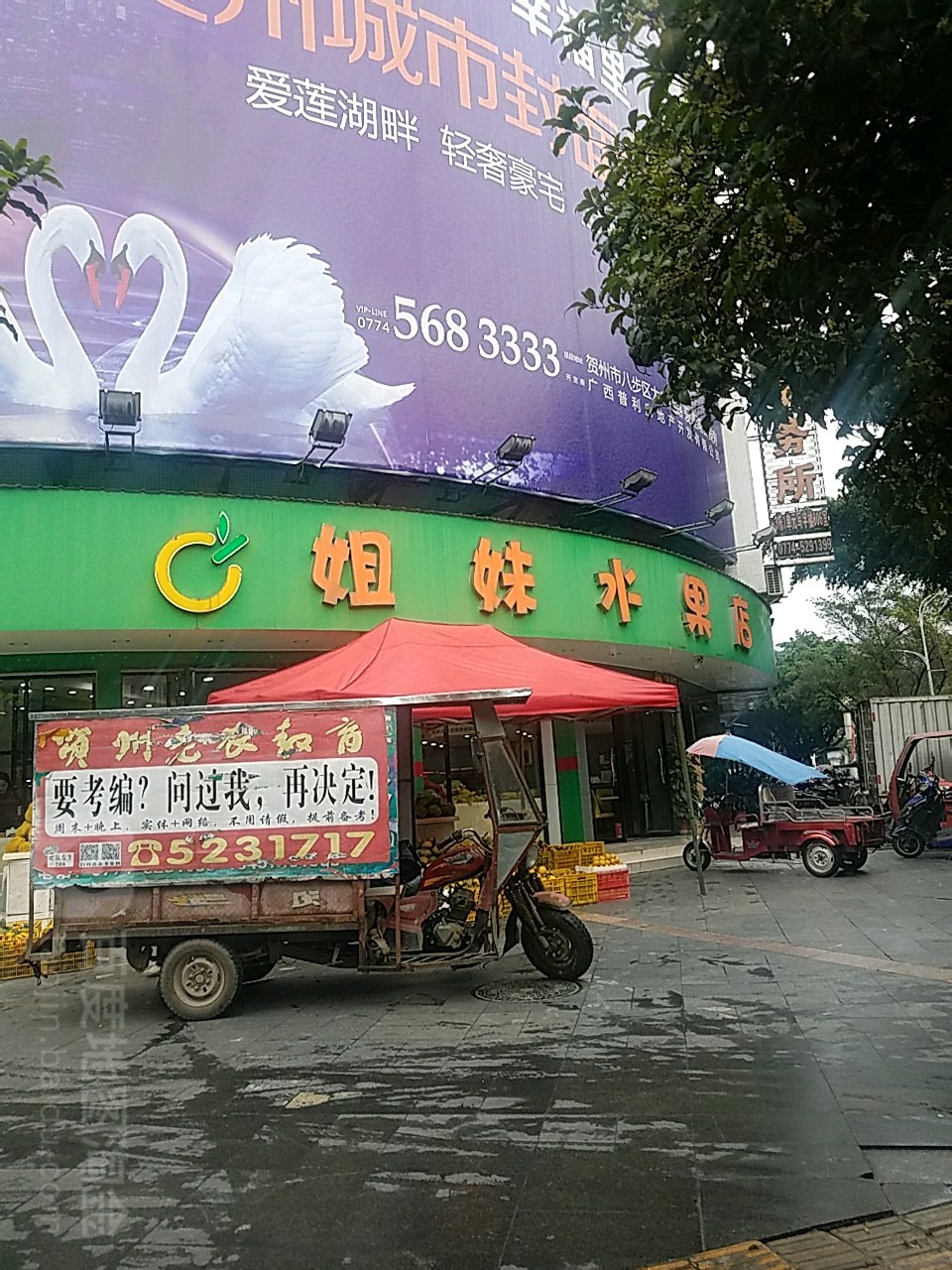 姐妹水果有限公司