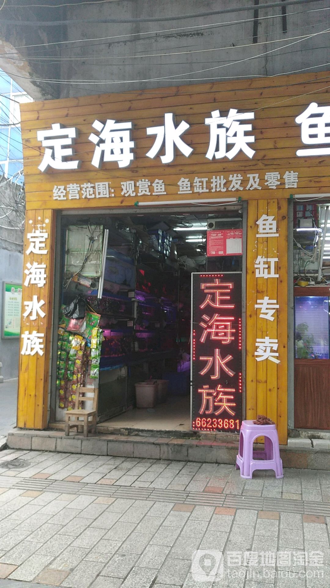 定海水族鱼缸专卖