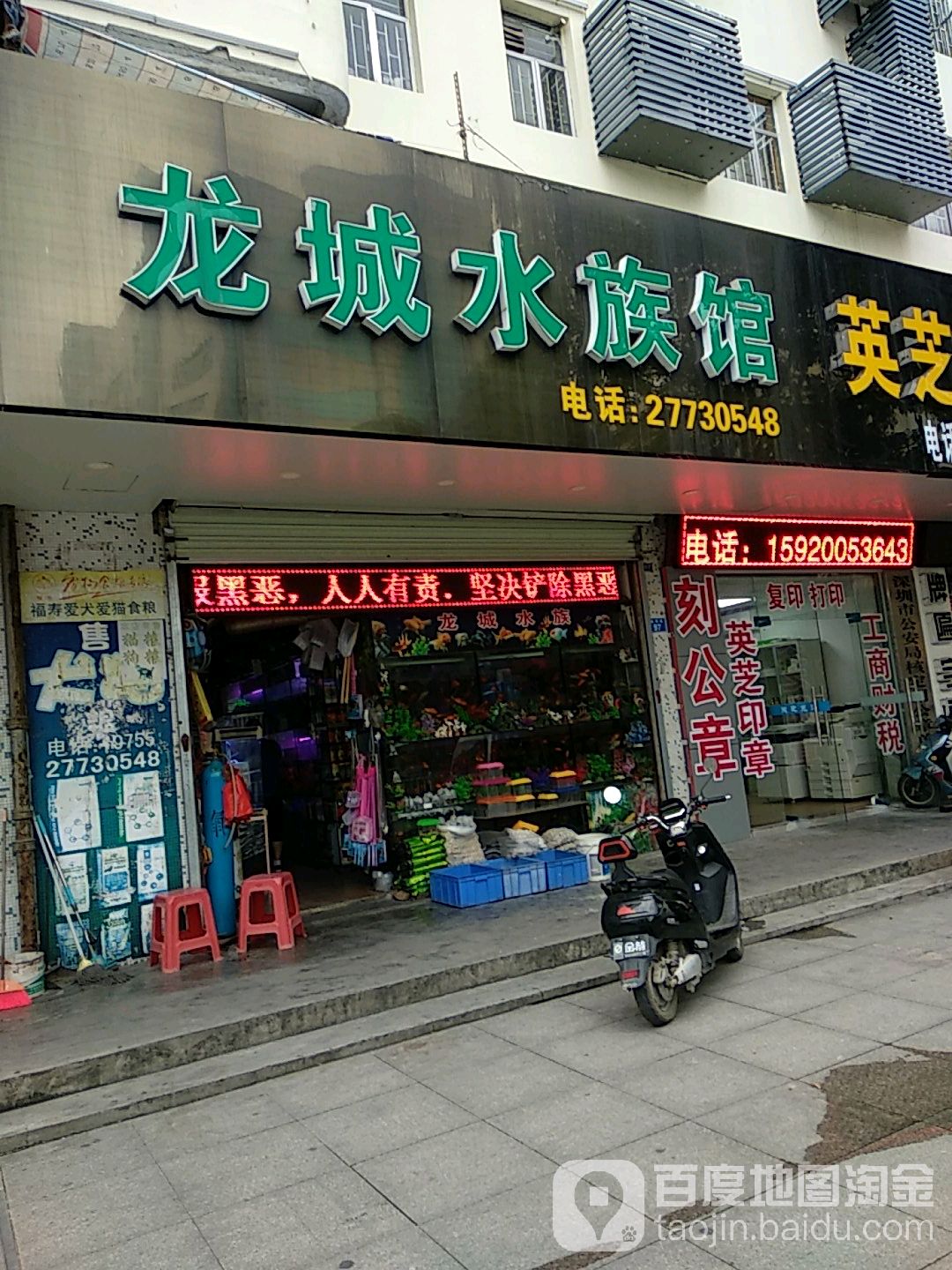 龙城水族馆(振明路店)
