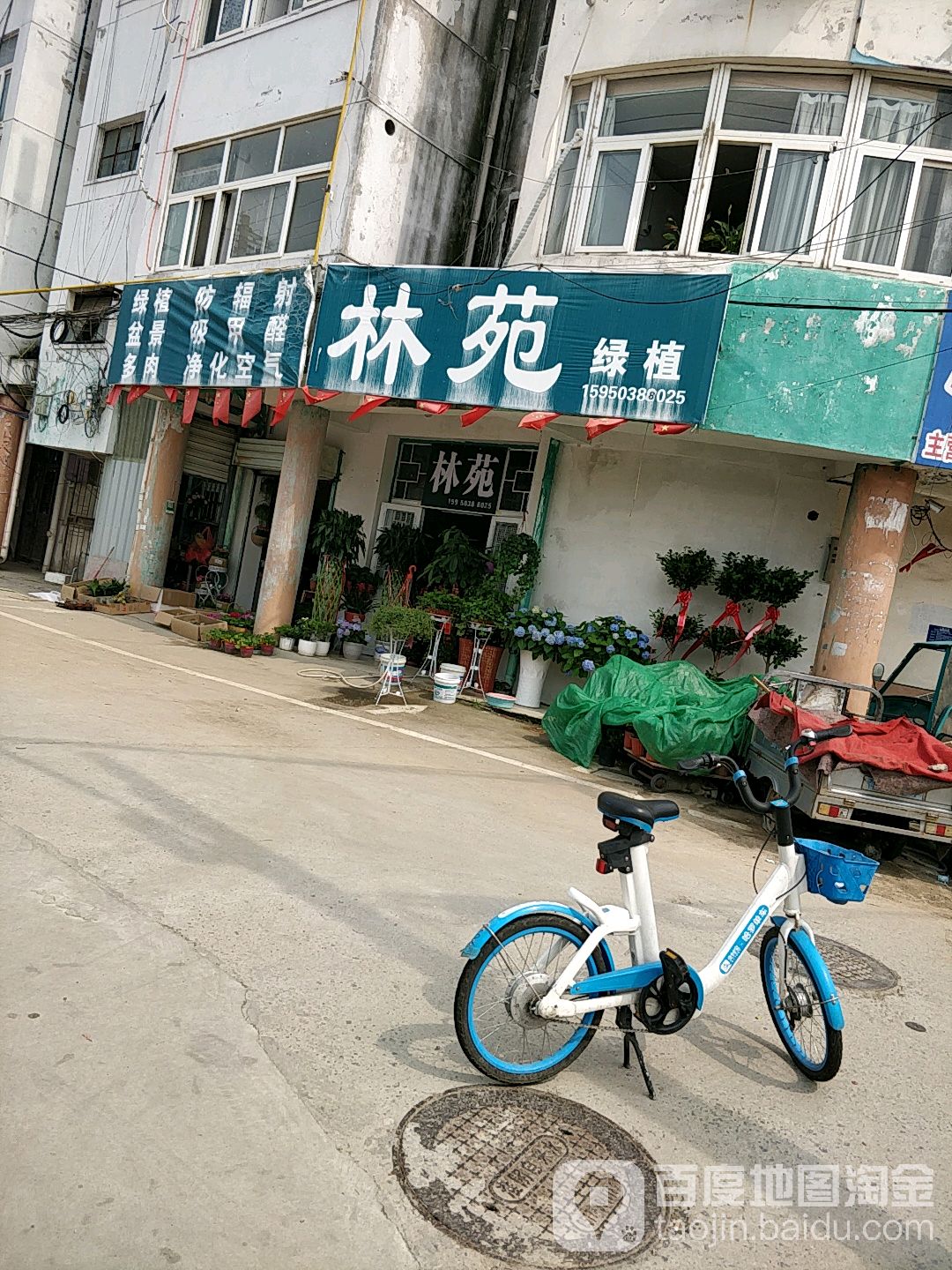 林苑
