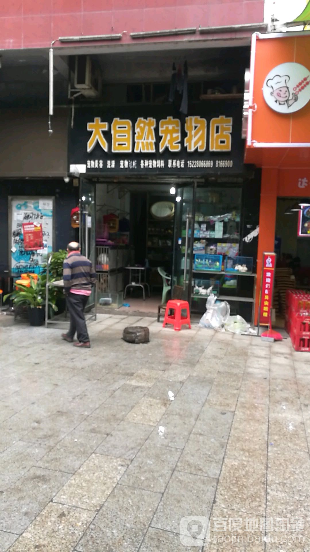 大自然宠物店