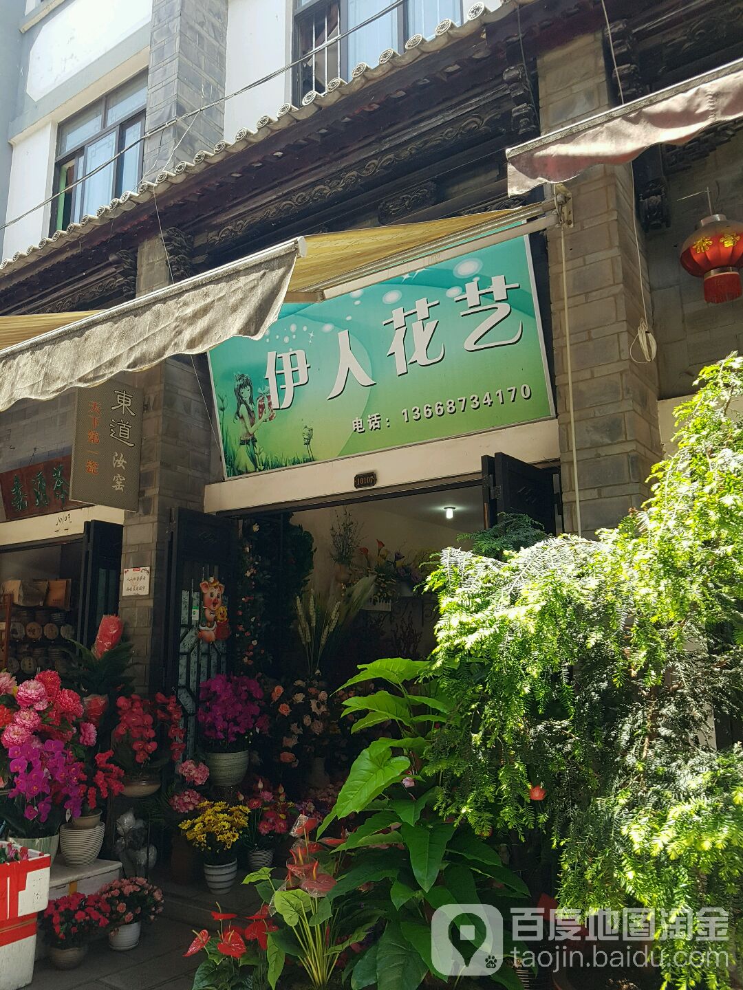 伊人花艺(园博花鸟市场店)
