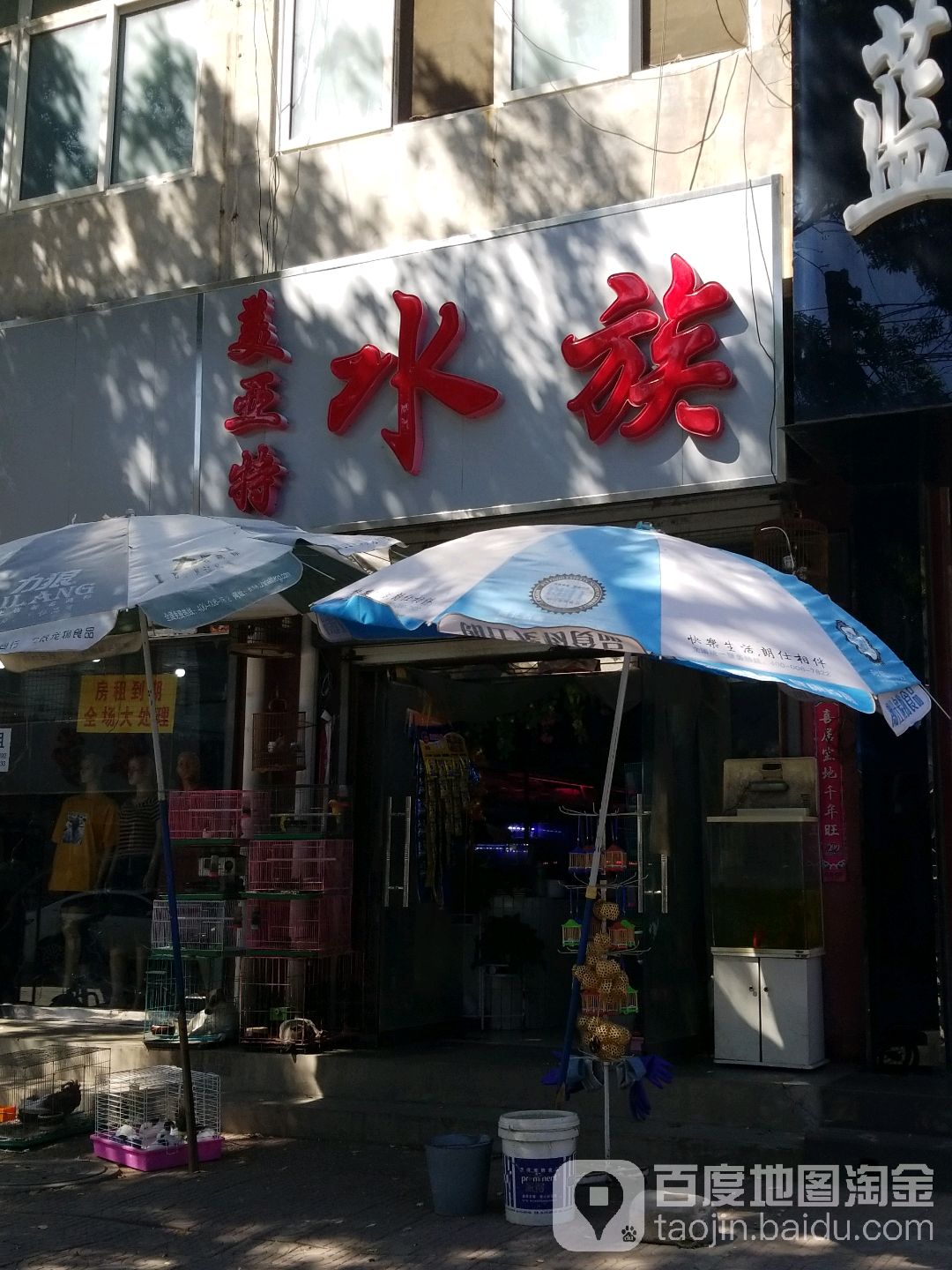 美亚特水族(高阳专卖店)