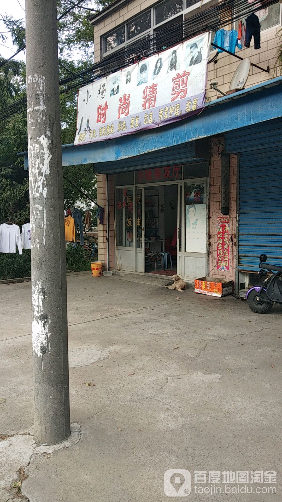 小杨时尚精剪