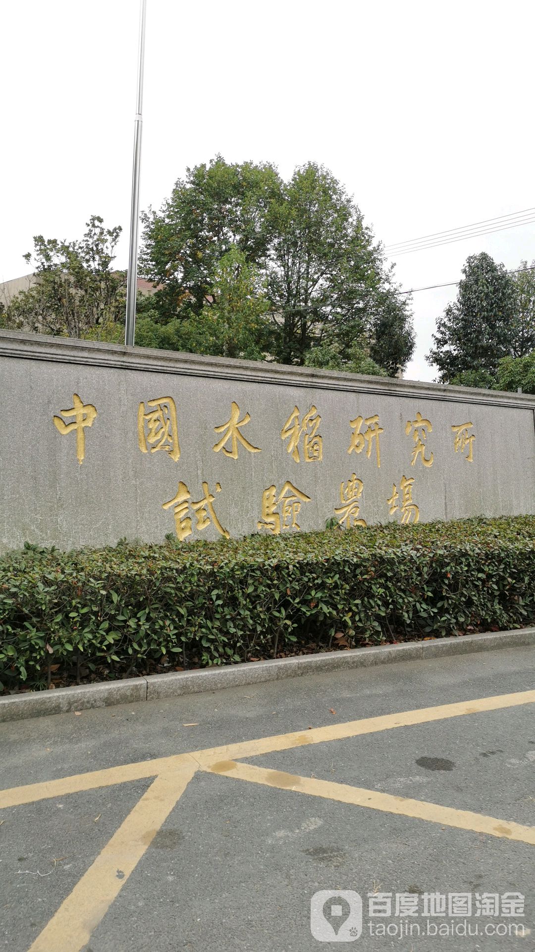 中国水稻研究所试验场水
