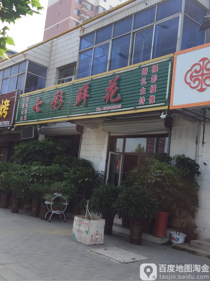 七彩鲜花(康宁路店)