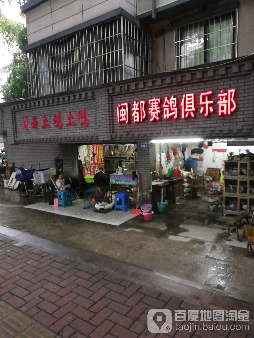 福州市鼓楼区闽都赛鸽俱乐部(道山路)