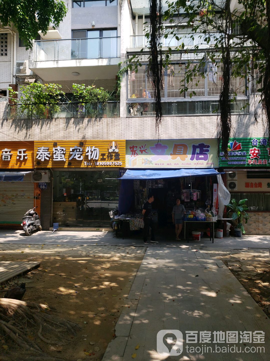 泰蜜宠物店(桔园路店)