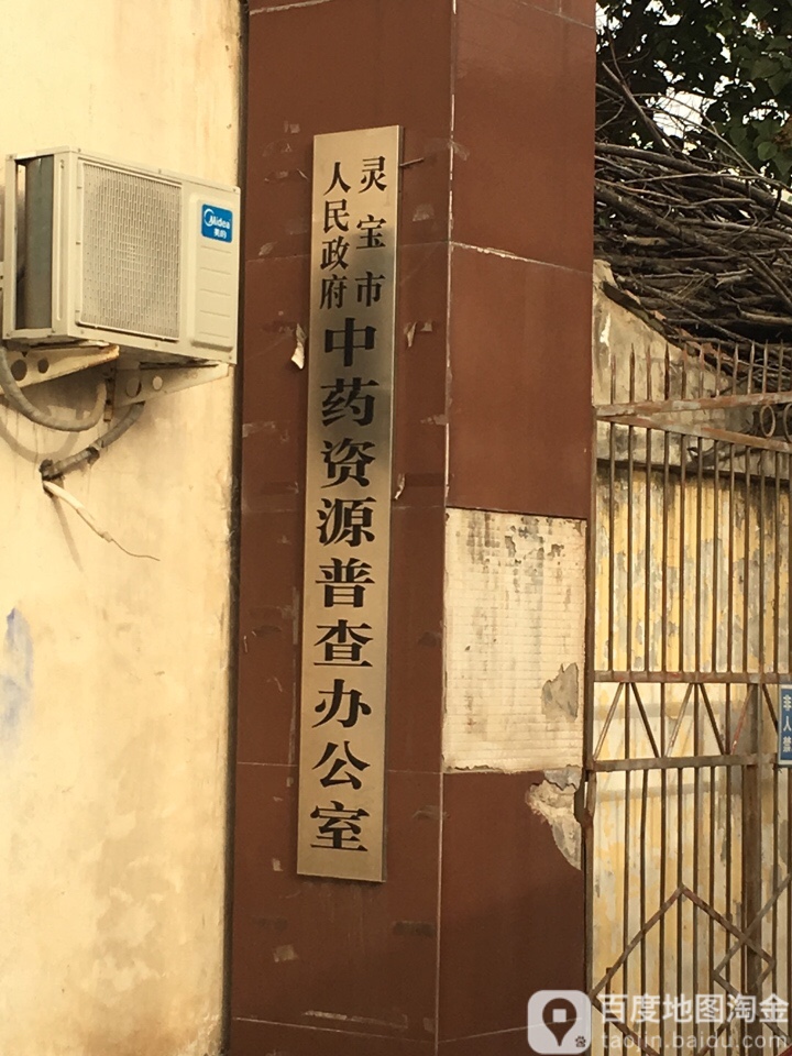 灵宝市人民政府中药资源普查办公室