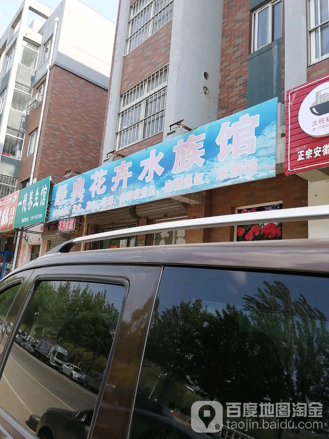 经典花卉水族馆